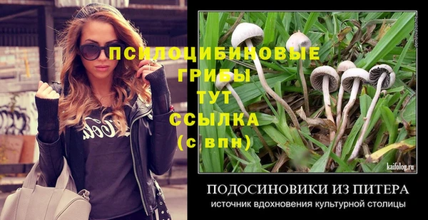 соль курить ск Каменка