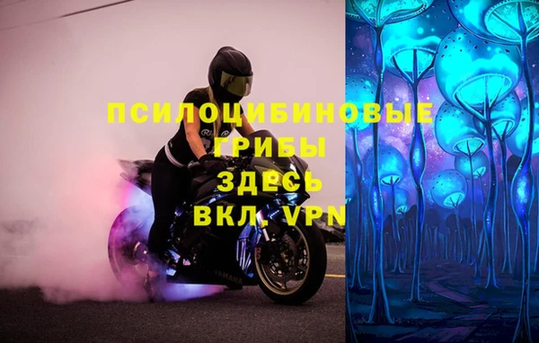соль курить ск Каменка