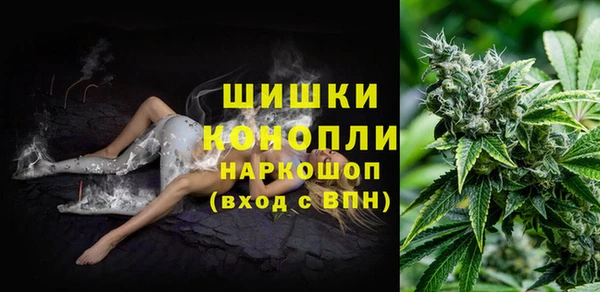 соль курить ск Каменка