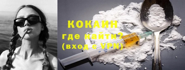 соль курить ск Каменка